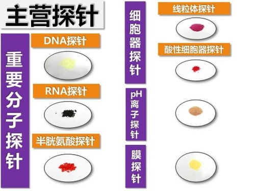 生物醫(yī)藥技術(shù)聯(lián)合實(shí)驗(yàn)室 推動(dòng)醫(yī)藥技術(shù)創(chuàng)新的重要平臺(tái)